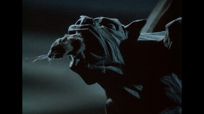 The Pied Piper Blu-ray